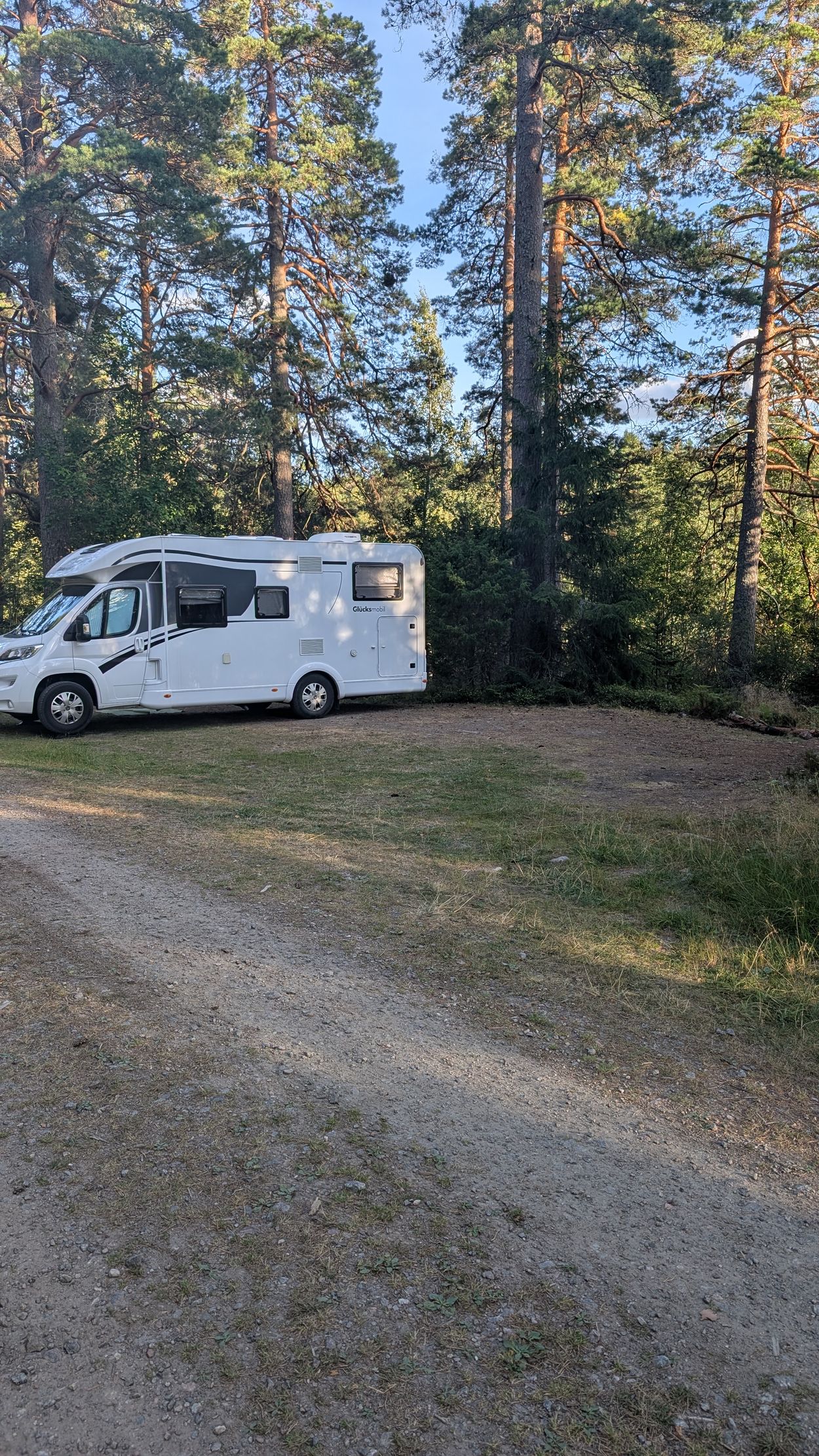 Stellplatz im Wald