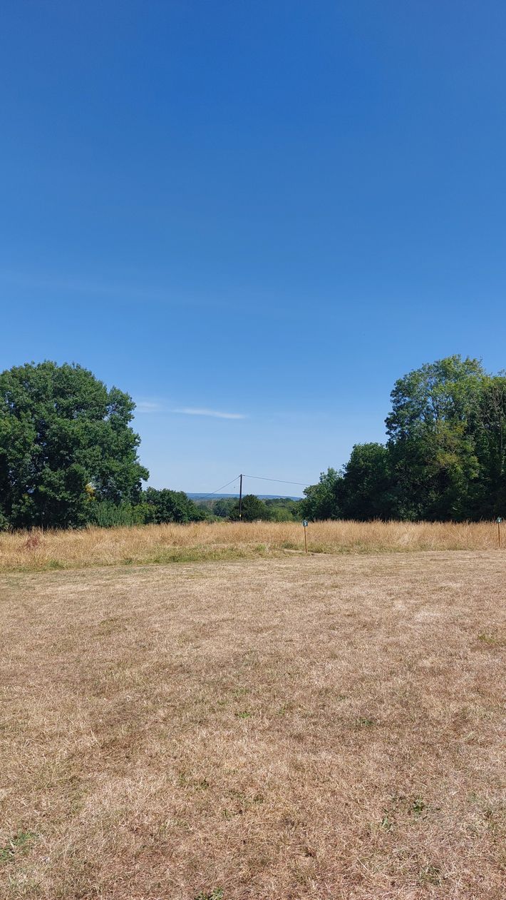 The Half Moon Pub, Lodges & Camping