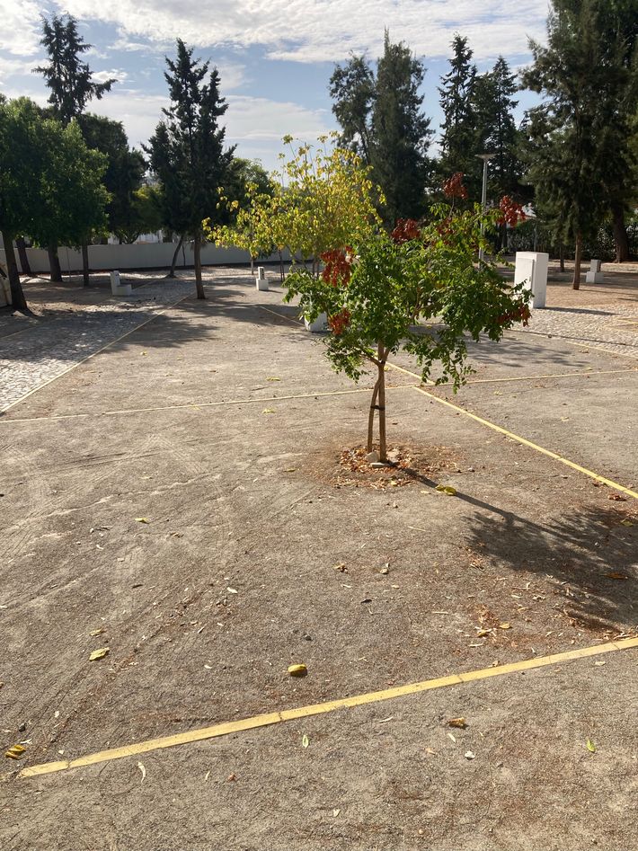 Parque de Campismo Municipal
