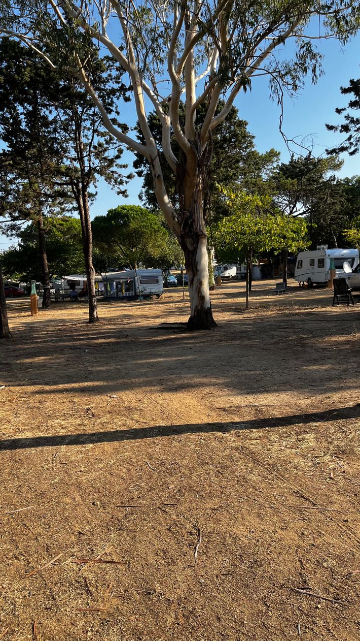Nysted autocamper plads