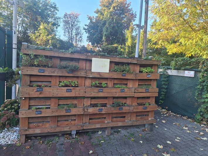 Wohnmobilpark Bingen
