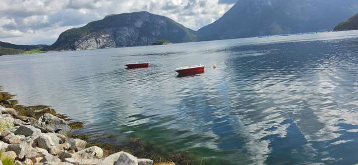 Camping Sunndalsfjord 