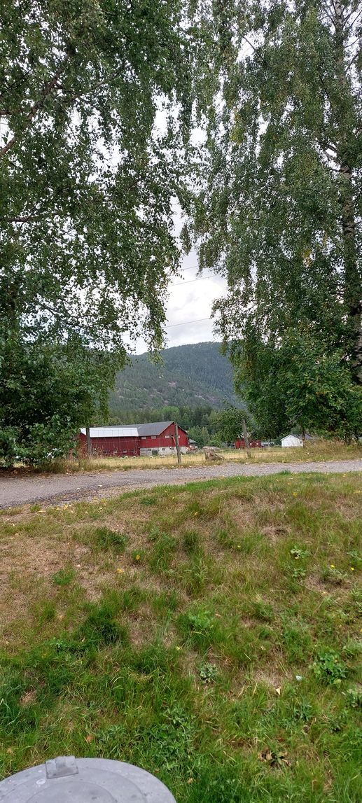 Added a photo to a location