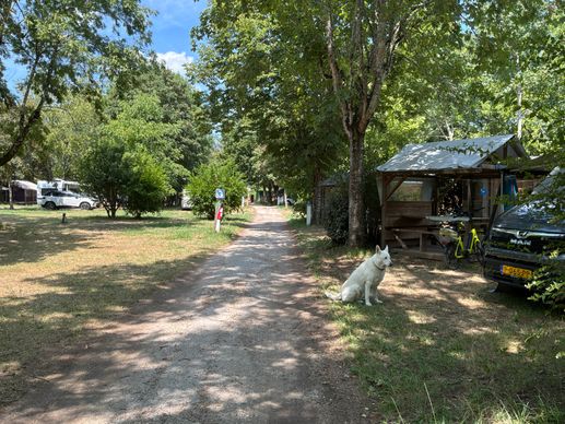 Added a photo to a location
