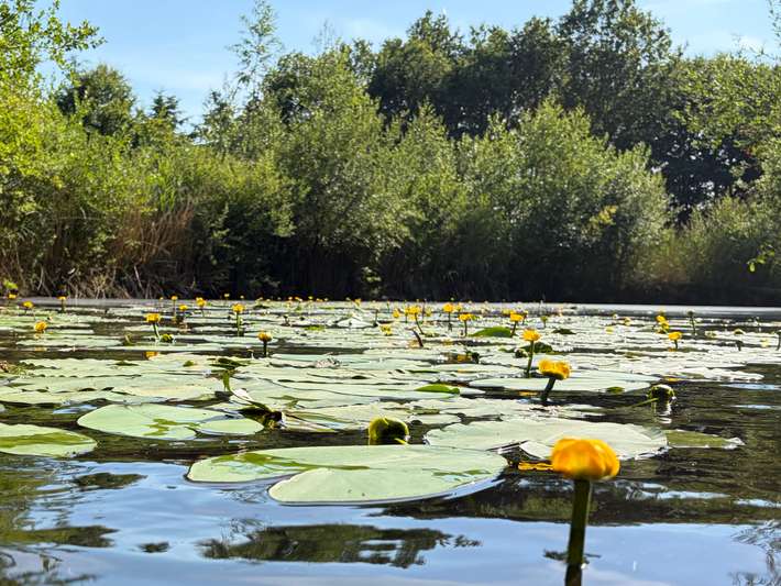 Camping Noorderloo