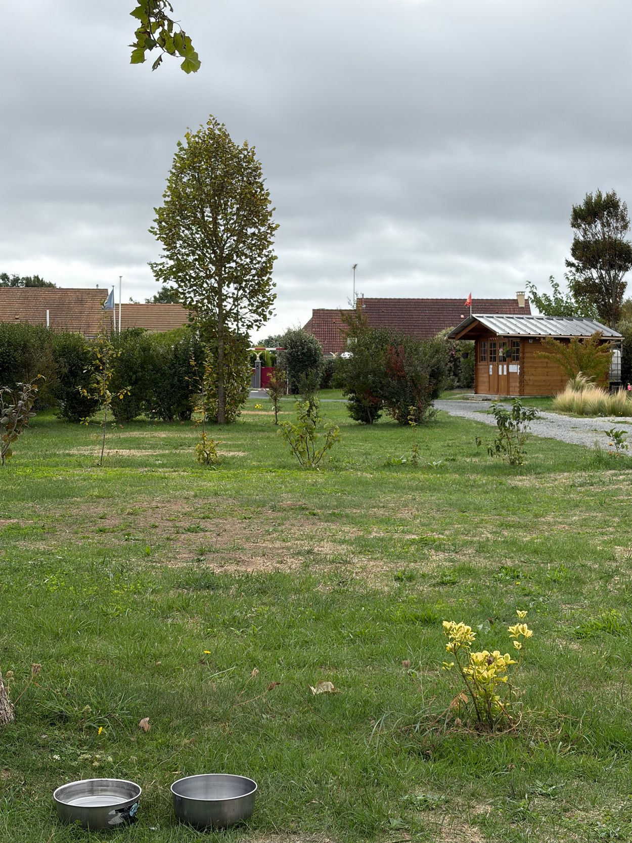Les Vanneaux