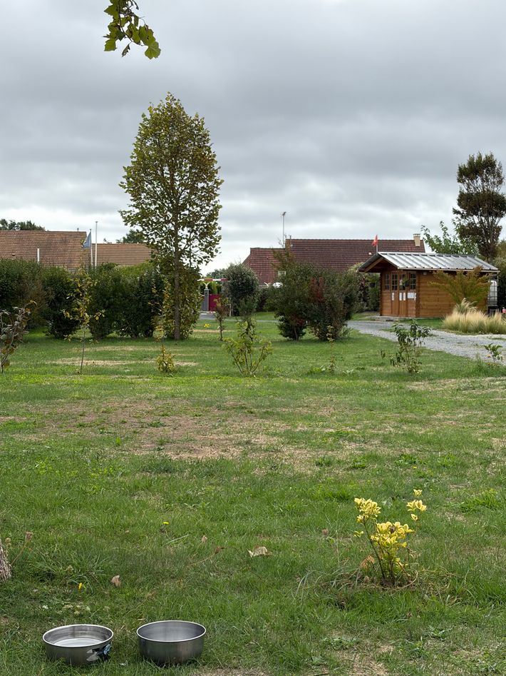 Les Vanneaux