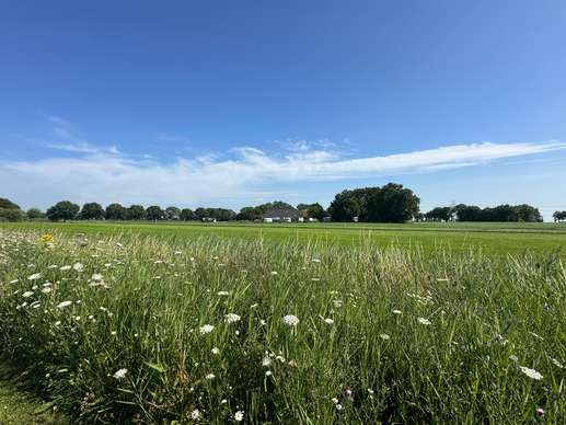 Een foto toegevoegd aan een locatie