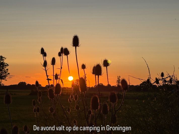 Camperplaats Westerwijtwerd
