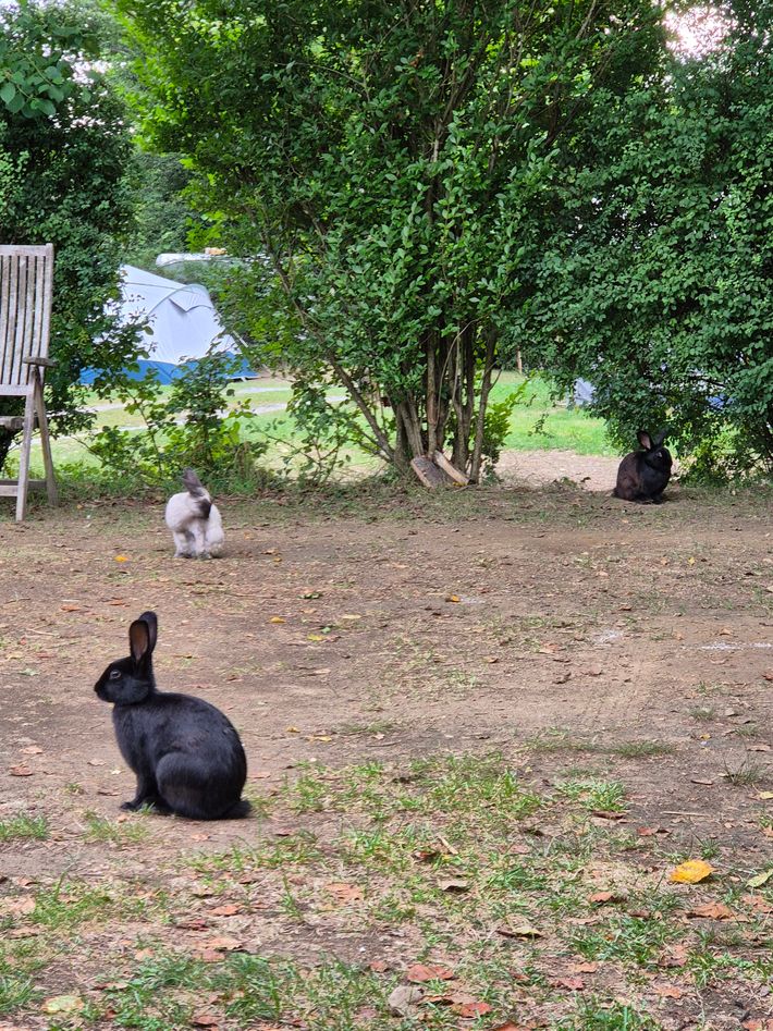 Camping Well Welt Kumberg