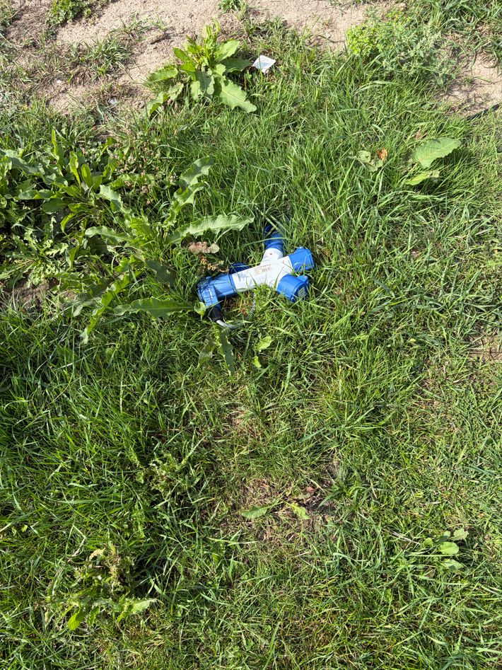 Camping Hoeve Dijkzicht 