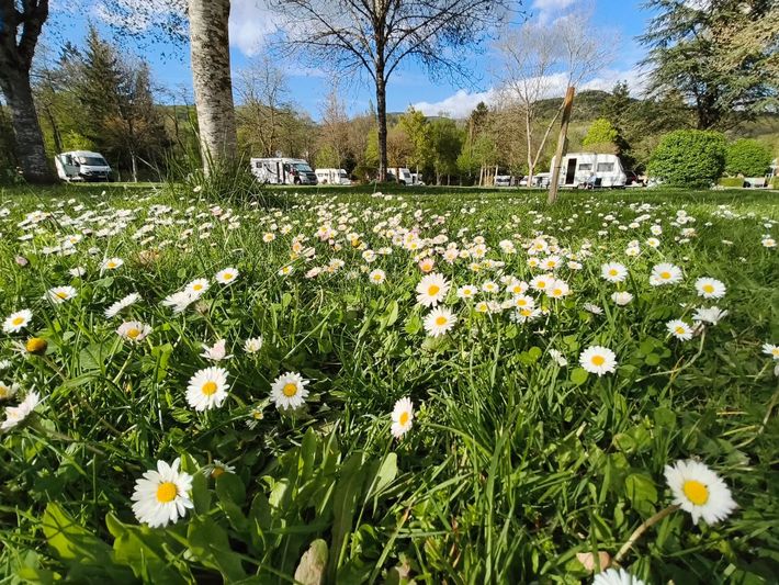 Camping de Masevaux