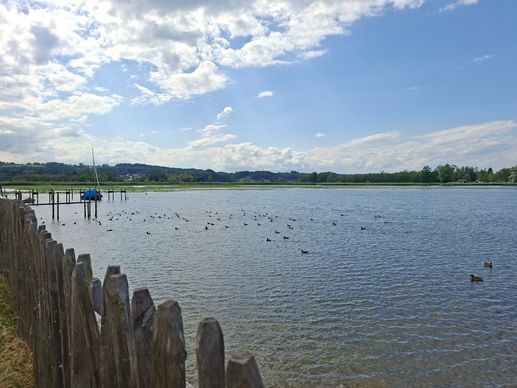 Added a photo to a location