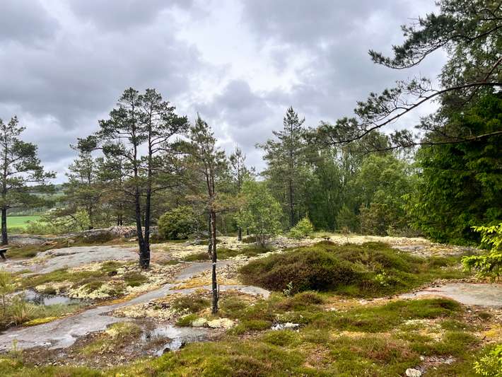 Ställplats  Ljungbytorp