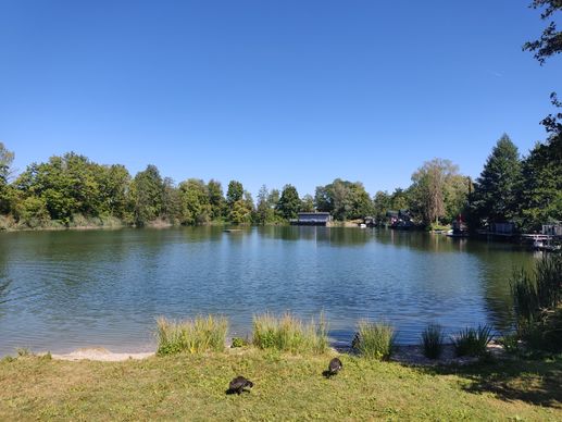Added a photo to a location