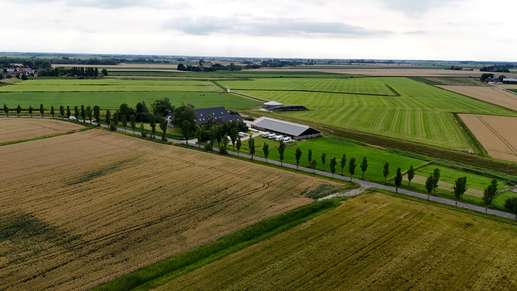 Camperplaats Westerpama, Niehove