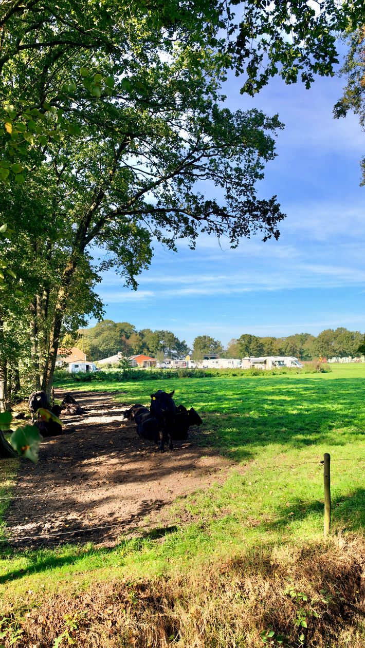 Camperpark Erve Berg en Dal, Eibergen