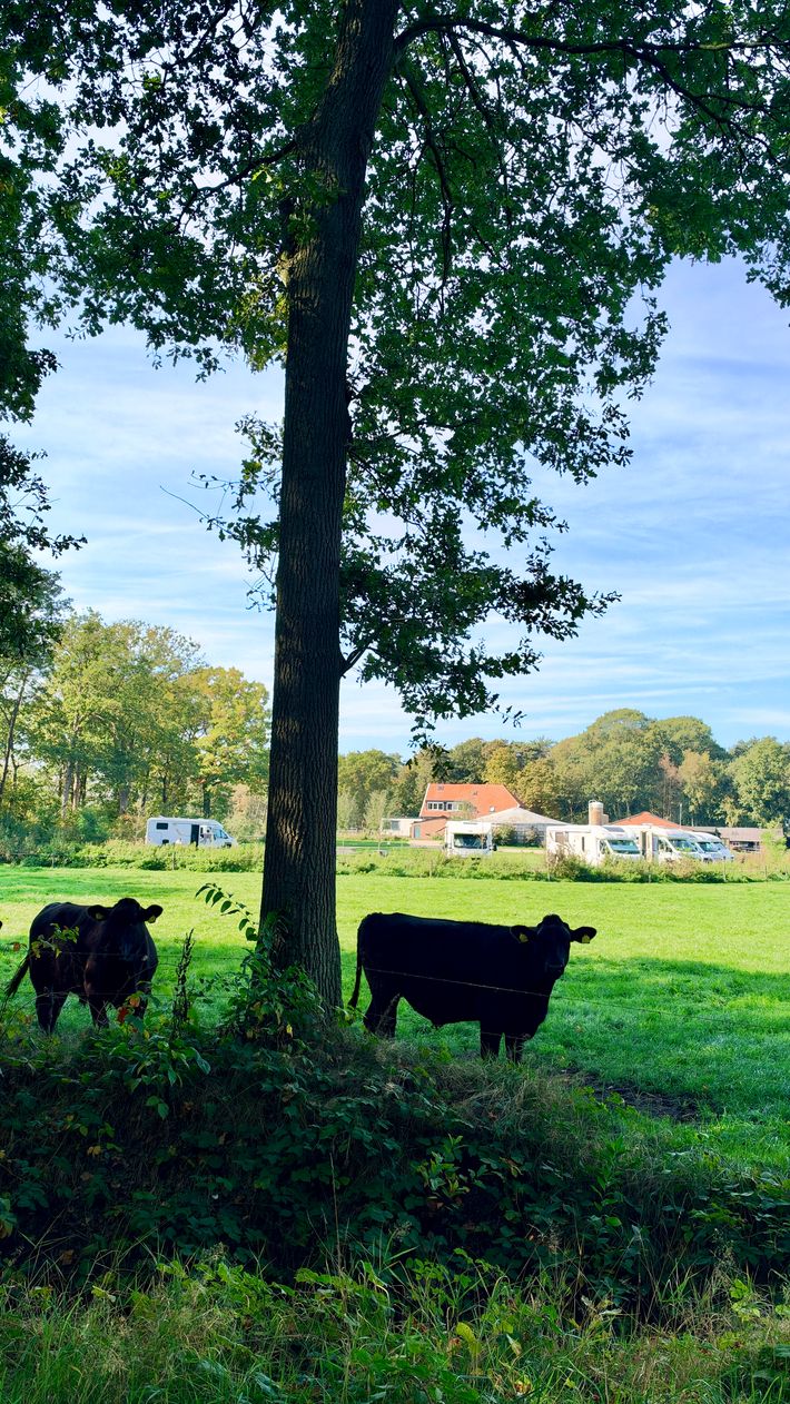 Camperpark Erve Berg en Dal, Eibergen