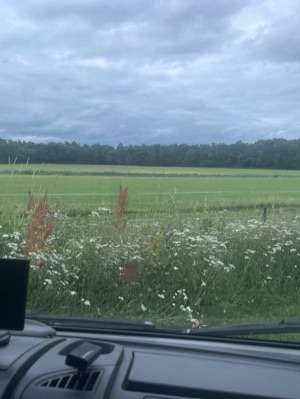 Added a photo to a location