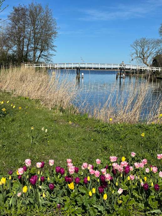 Een foto toegevoegd aan een locatie