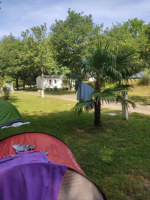 Added a photo to a location