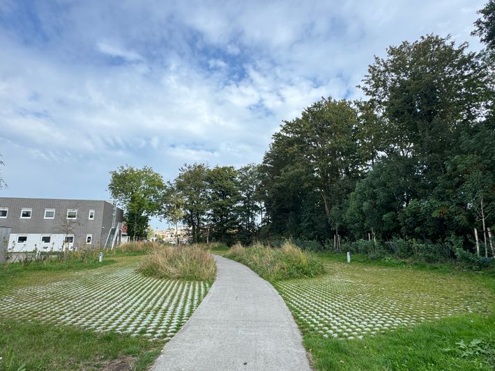 Camperplaats Moleneind Sander israëlsplein