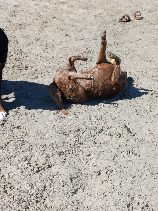 Einem Ort wurde ein Foto hinzugefügt