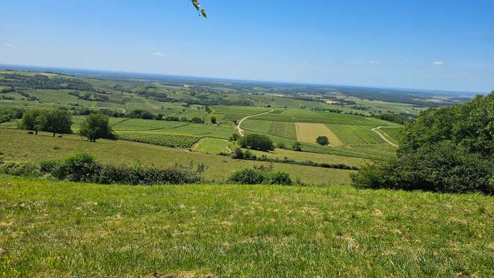 Le Vignoble de Pupillin