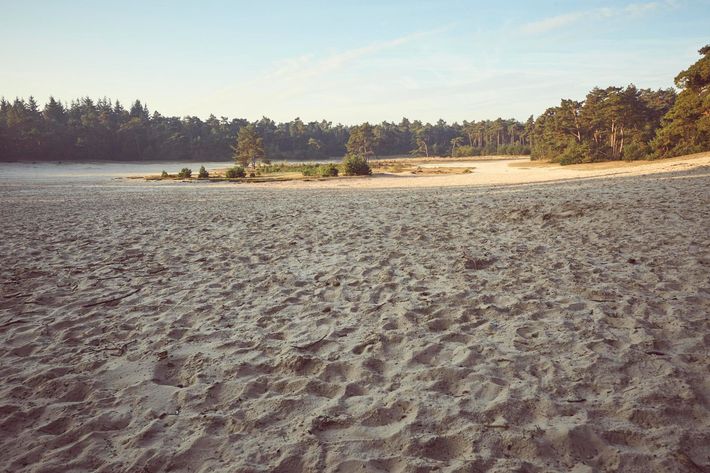 Fien-en-Teun-camping De Regge-Vallei