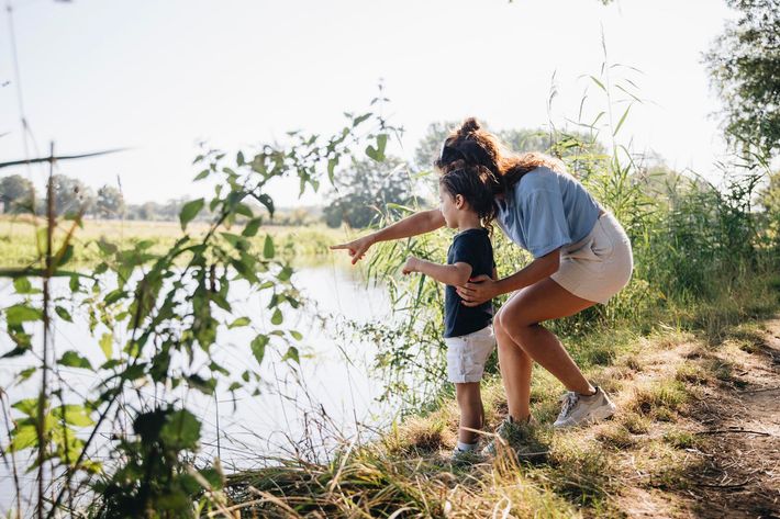 Fien-en-Teun-camping De Regge-Vallei