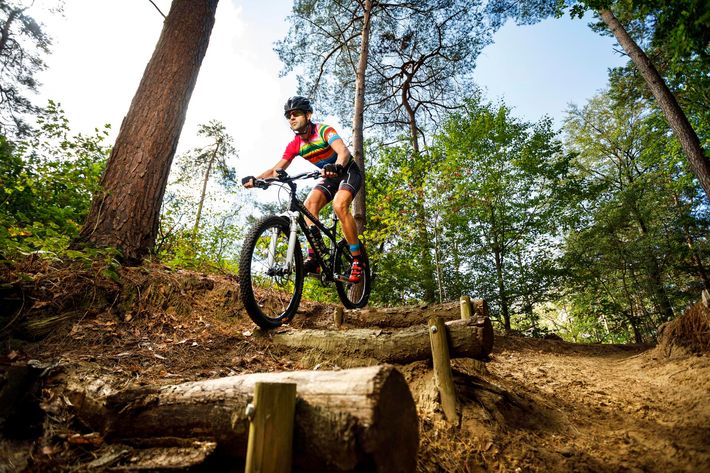 Fien-en-Teun-camping De Regge-Vallei