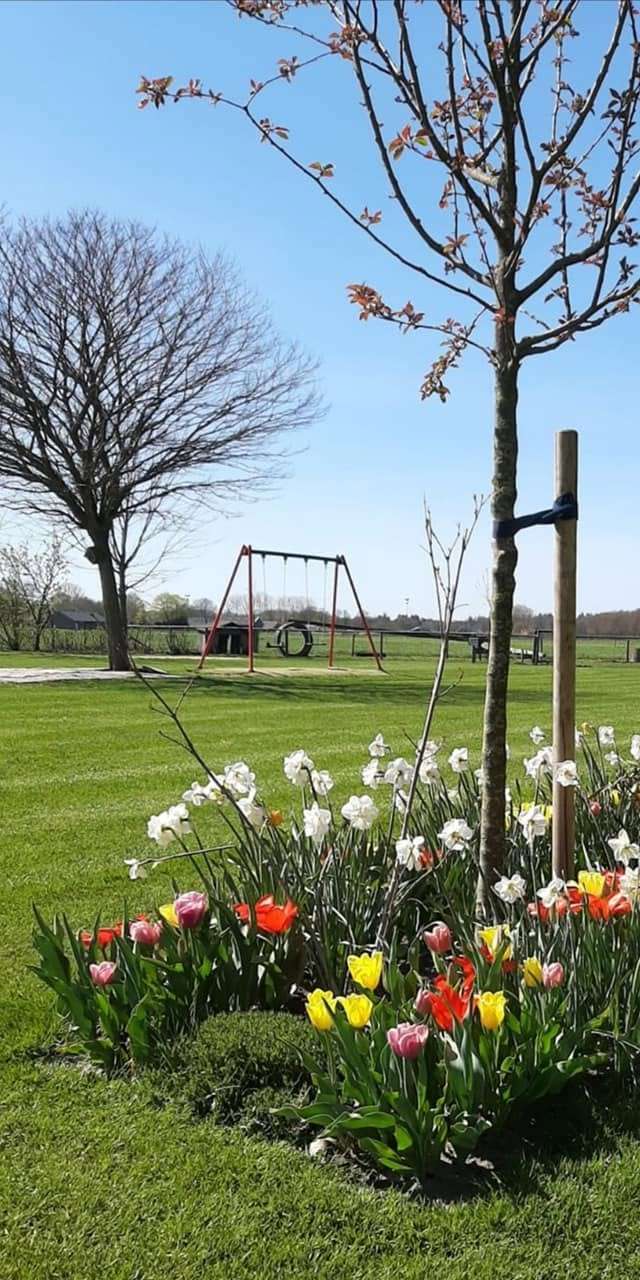 Mini-camping 't Haller