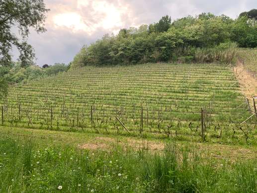 Aggiunta una foto a una posizione