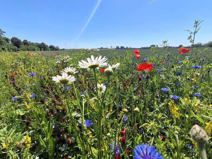 Camperplaats de Alexanderhoeve