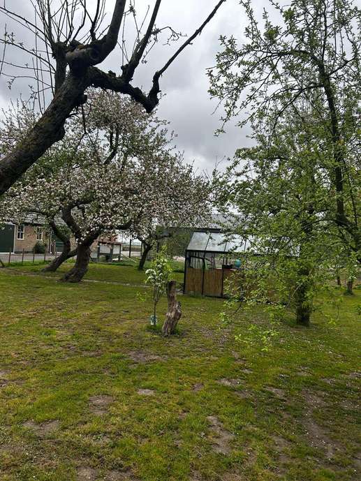 Added a photo to a location