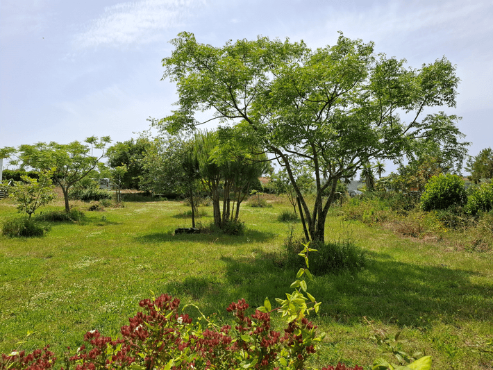 Quinta da Caria — an organic farm near Portugal's Silver Coast surf