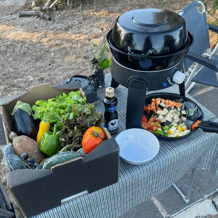 Quinta da Caria — an organic farm near Portugal's Silver Coast surf