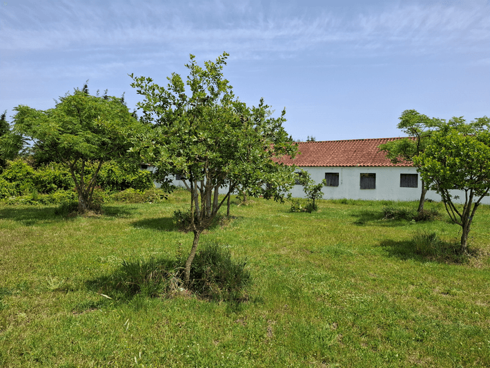 Quinta da Caria — an organic farm near Portugal's Silver Coast surf