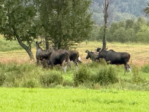 Einem Ort wurde ein Foto hinzugefügt