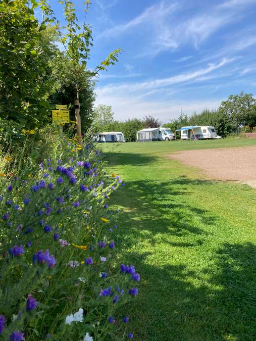Camping De Boomgaard