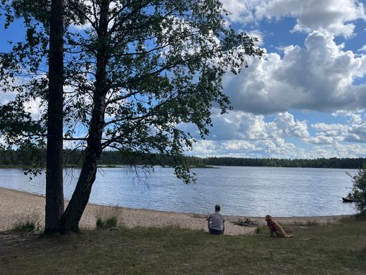 Added a photo to a location
