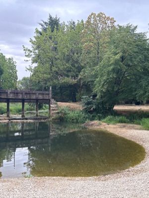 Added a photo to a location
