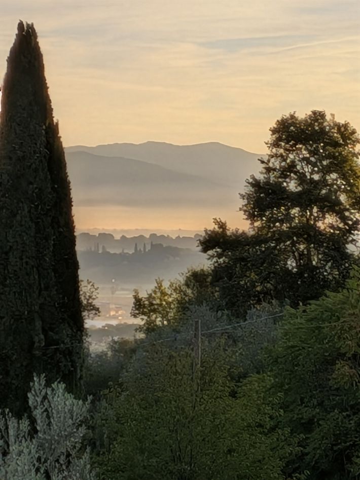 Area Comunale