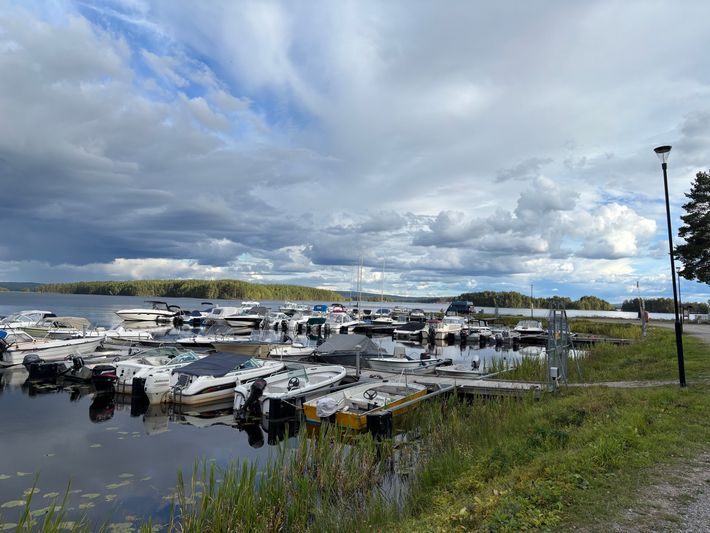 Kallviken haven