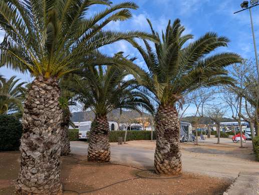 Added a photo to a location