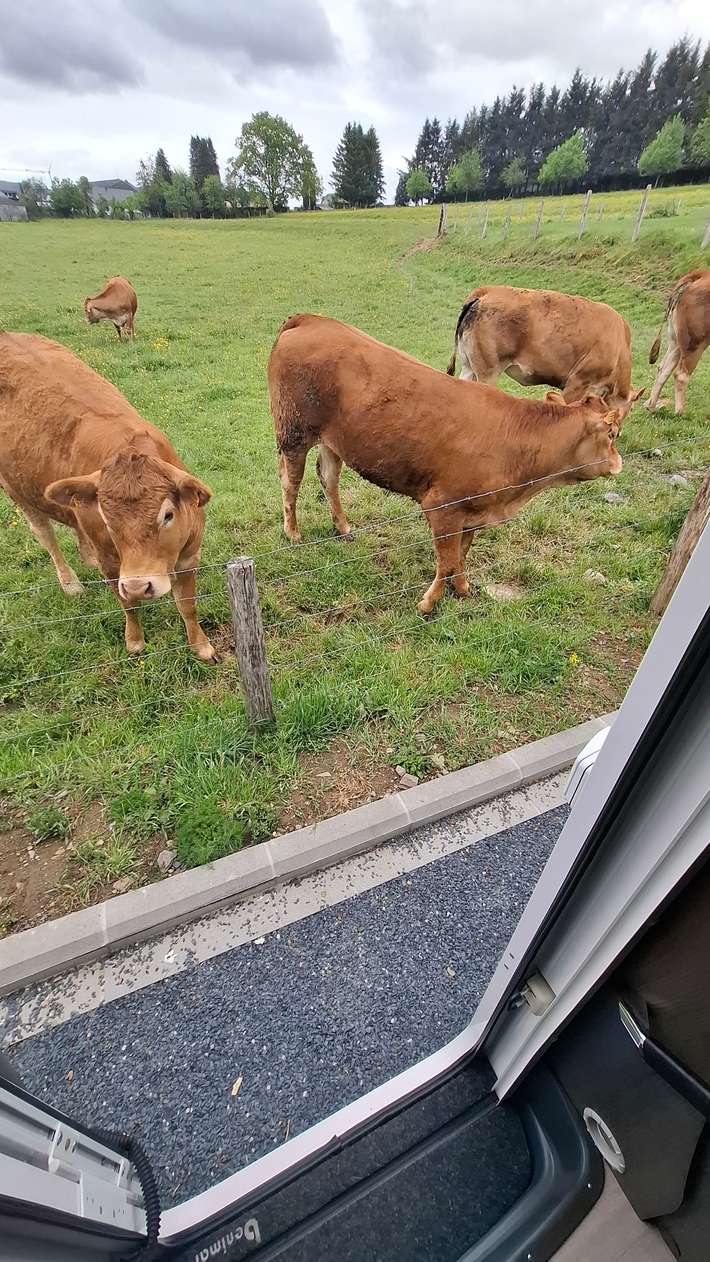Camperplaats Boulaide