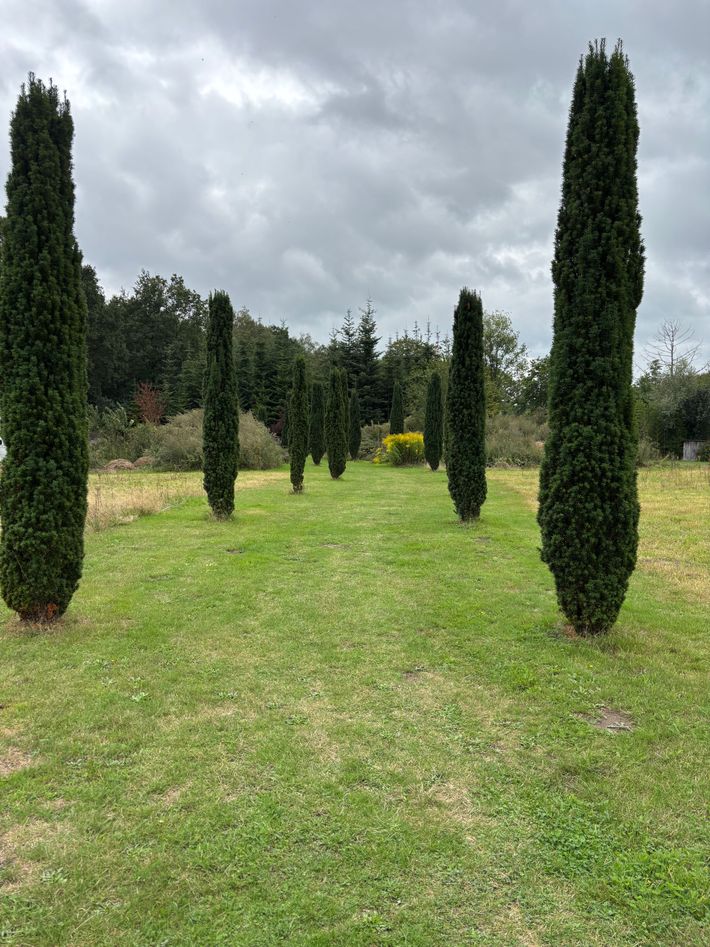 Stellplatz Lauheide