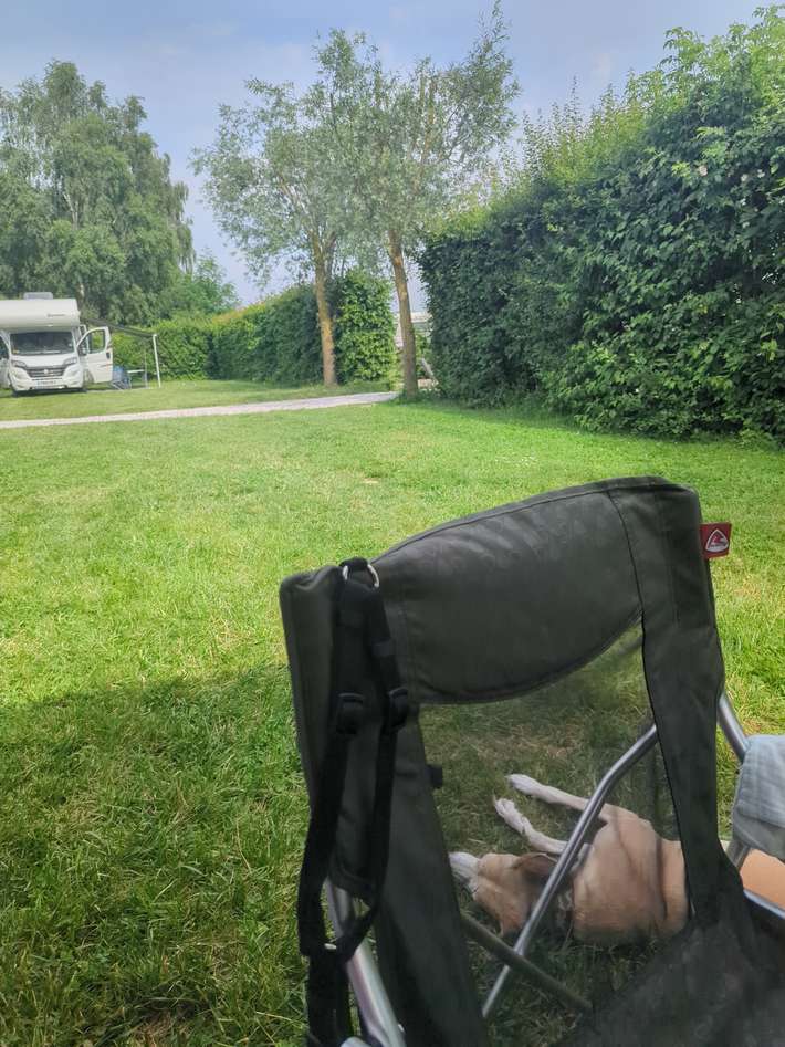 Camping de la Ferme des Saules