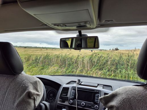 Een foto toegevoegd aan een locatie
