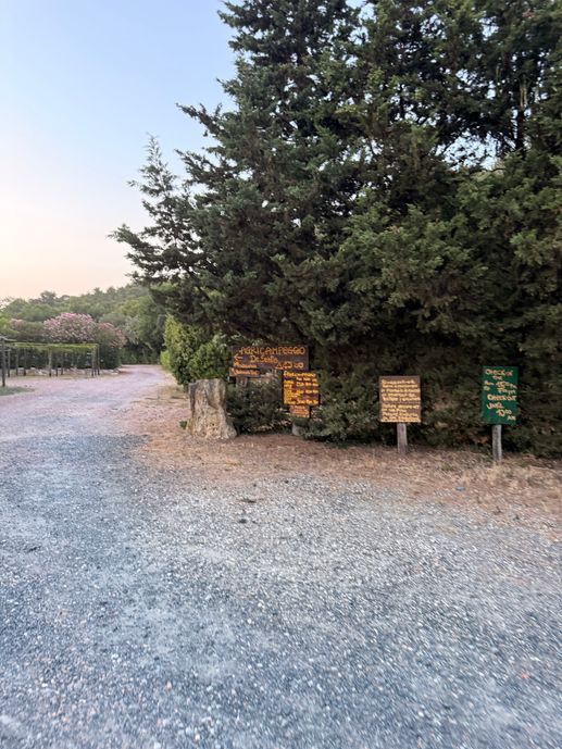 Added a photo to a location